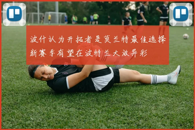 波什认为开拓者是莫兰特最佳选择新赛季有望在波特兰大放异彩