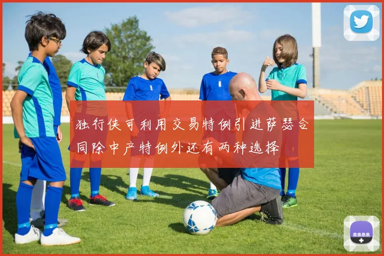 独行侠可利用交易特例引进萨瑟合同除中产特例外还有两种选择