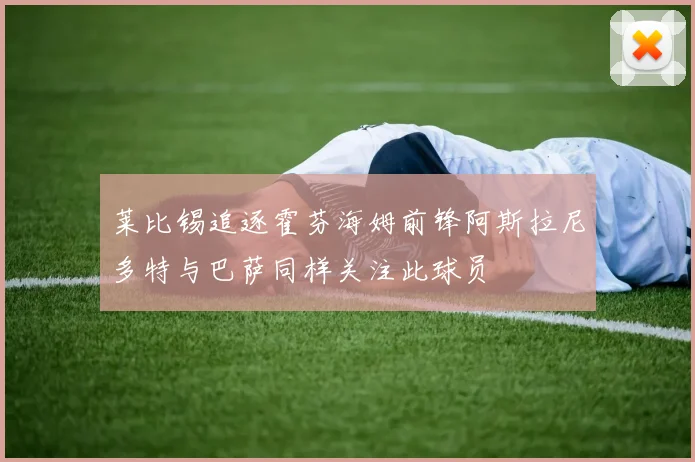 莱比锡追逐霍芬海姆前锋阿斯拉尼多特与巴萨同样关注此球员